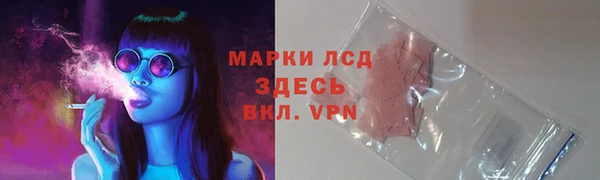 дживик Вяземский