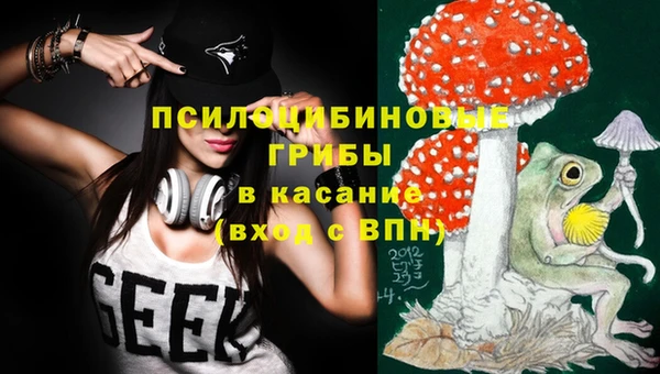 дживик Вяземский