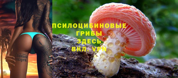 спайс Вязьма