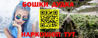 гашиш Новодвинск